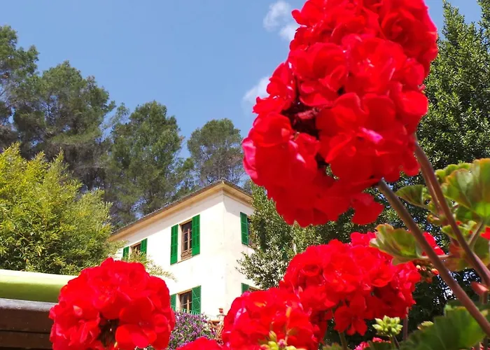 Agroturisme Finca Sa Maniga